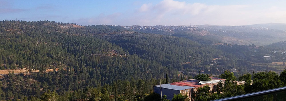 Ein Kerem Hotel Jerusalem Eksteriør billede